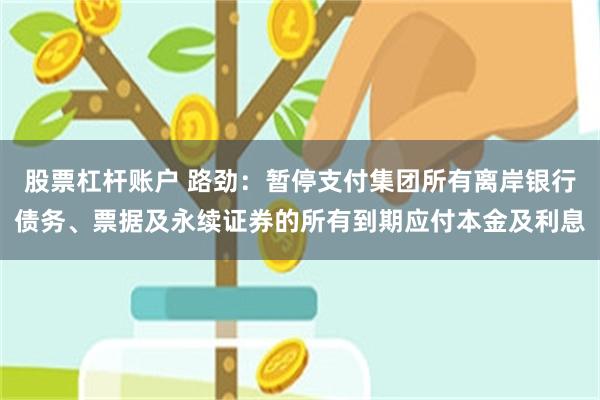 股票杠杆账户 路劲：暂停支付集团所有离岸银行债务、票据及永续证券的所有到期应付本金及利息