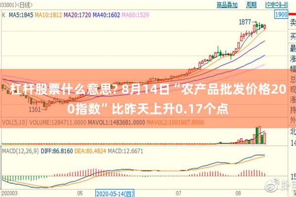 杠杆股票什么意思? 8月14日“农产品批发价格200指数”比昨天上升0.17个点
