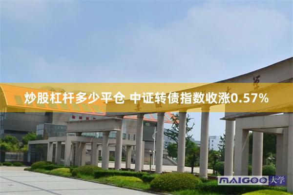 炒股杠杆多少平仓 中证转债指数收涨0.57%