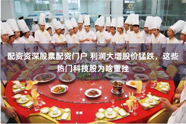 配资资深股票配资门户 利润大增股价猛跌，这些热门科技股为啥重挫