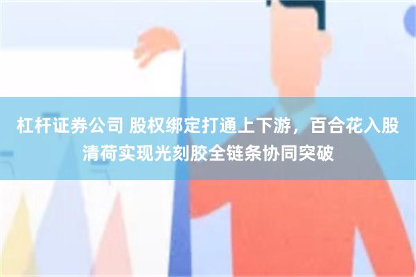 杠杆证券公司 股权绑定打通上下游，百合花入股清荷实现光刻胶全链条协同突破
