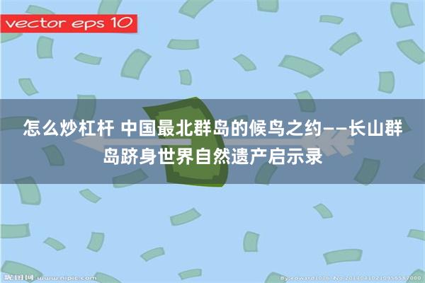 怎么炒杠杆 中国最北群岛的候鸟之约——长山群岛跻身世界自然遗产启示录